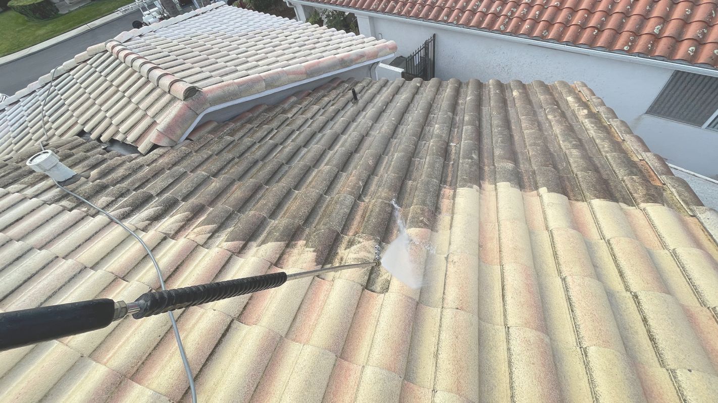 Roof Cleaning Is What We Are Proficient In! San Luis Obispo, CA