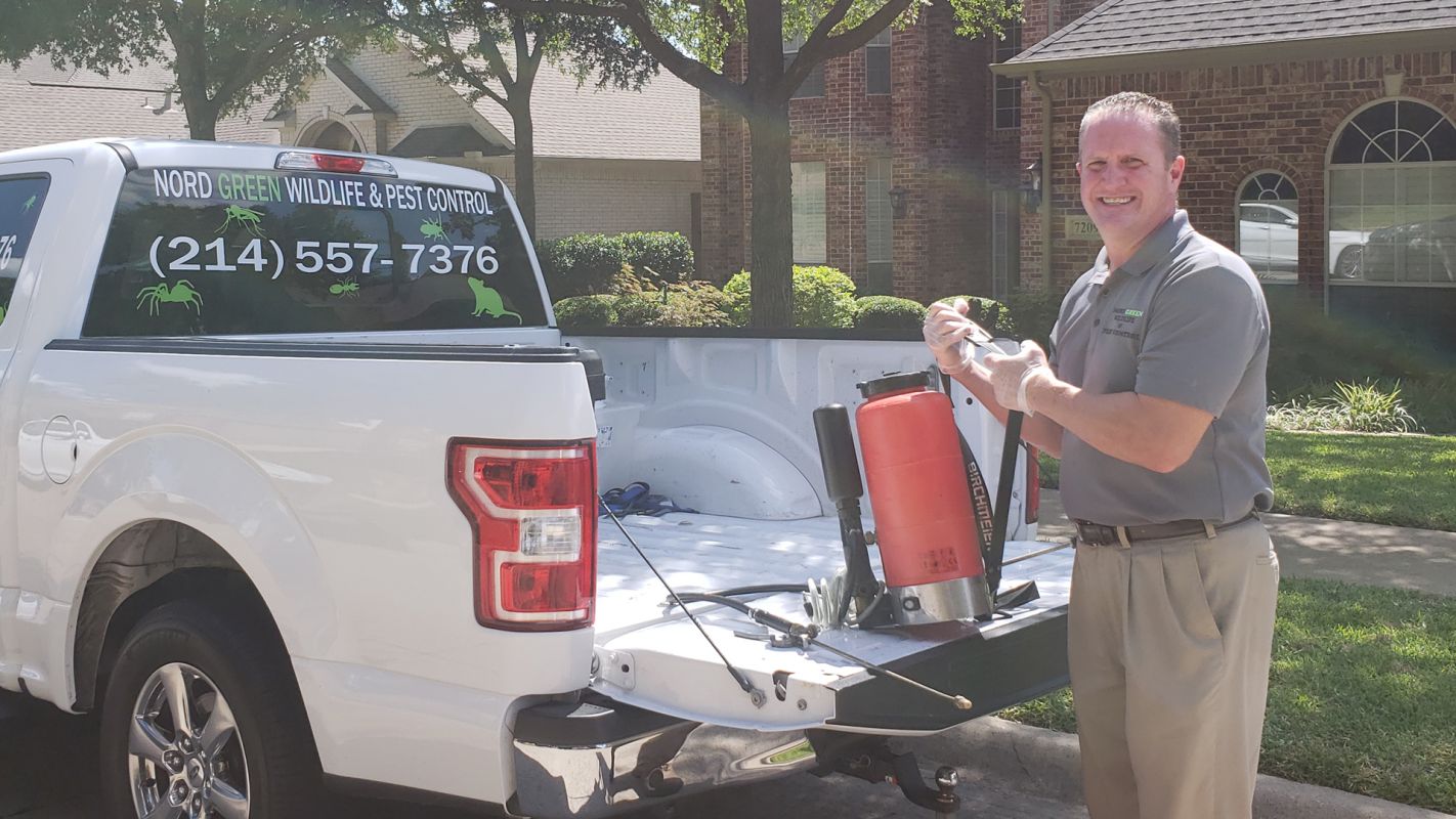 Halt Your Search for “Pest Control Company Near Me” and Call Us!