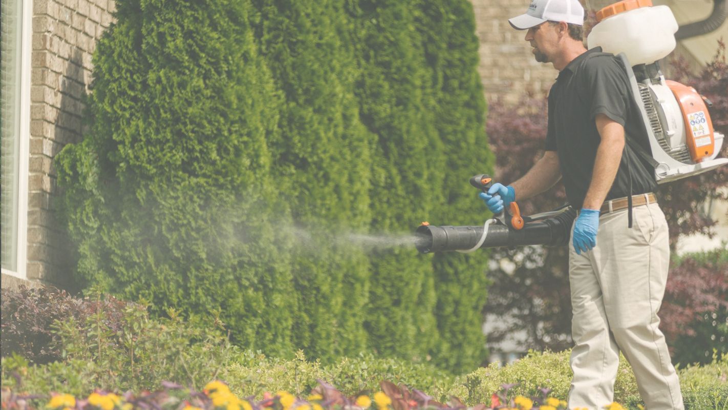 Efficient Mosquito Control Services in Richardson, TX