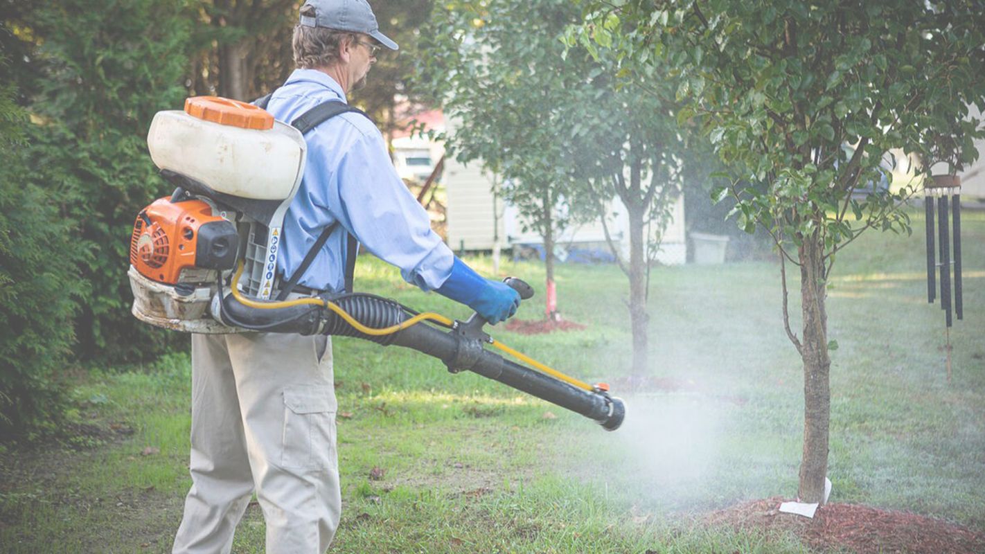 Mosquito Control for Yard at Minimal Rates Richardson, TX