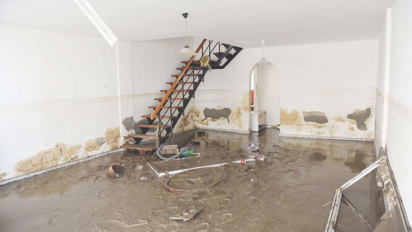 The #1 Basement Flood Cleanup in Peoria, AZ