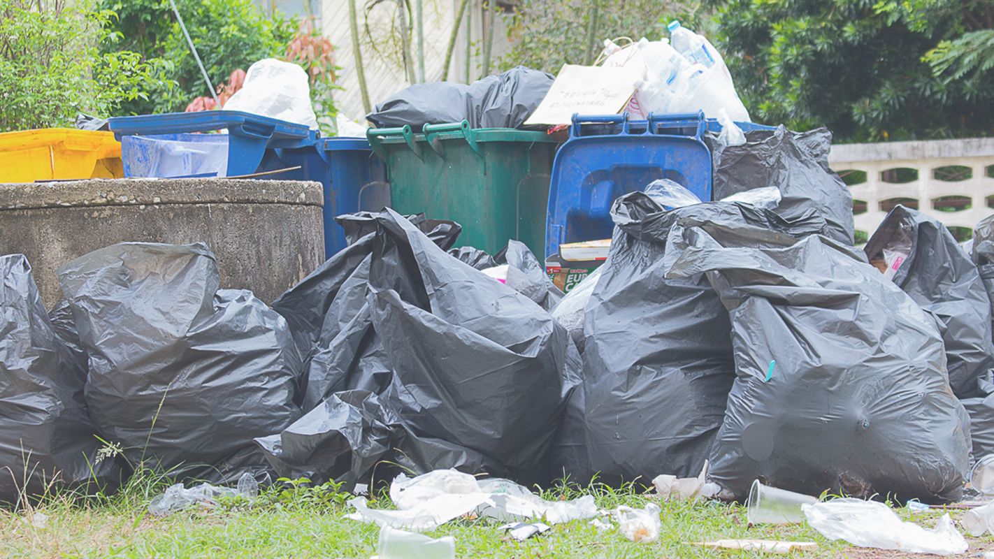 Affordable Garbage Removal Services Summerlin South, NV
