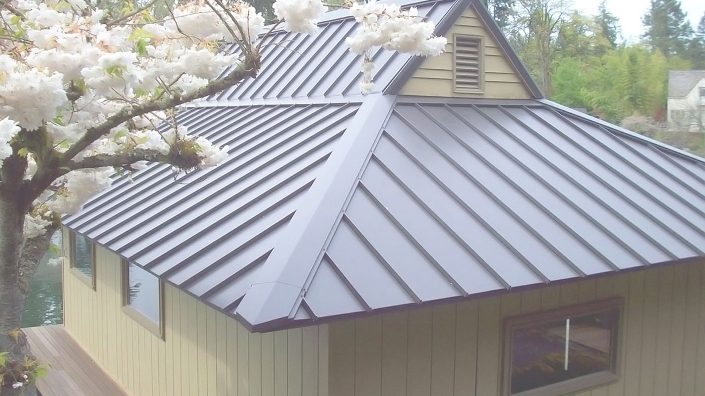 Metal Roof Installation St. Louis Park, MN