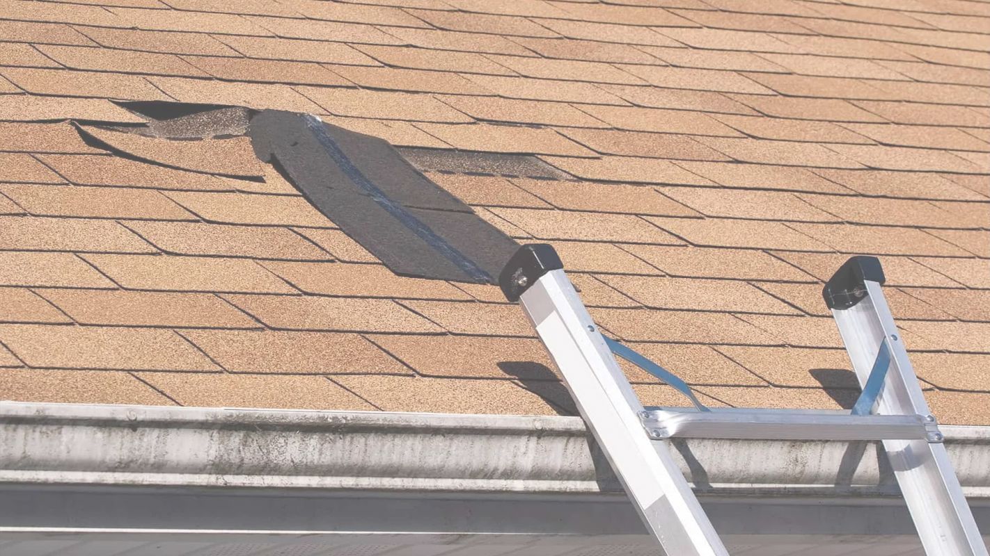 Leak Roof Repair to Preserve Structural Integrity Eden Prairie, MN