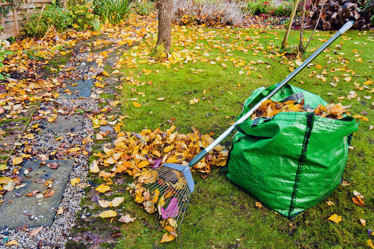 Yard Clean Up Services Snellville GA