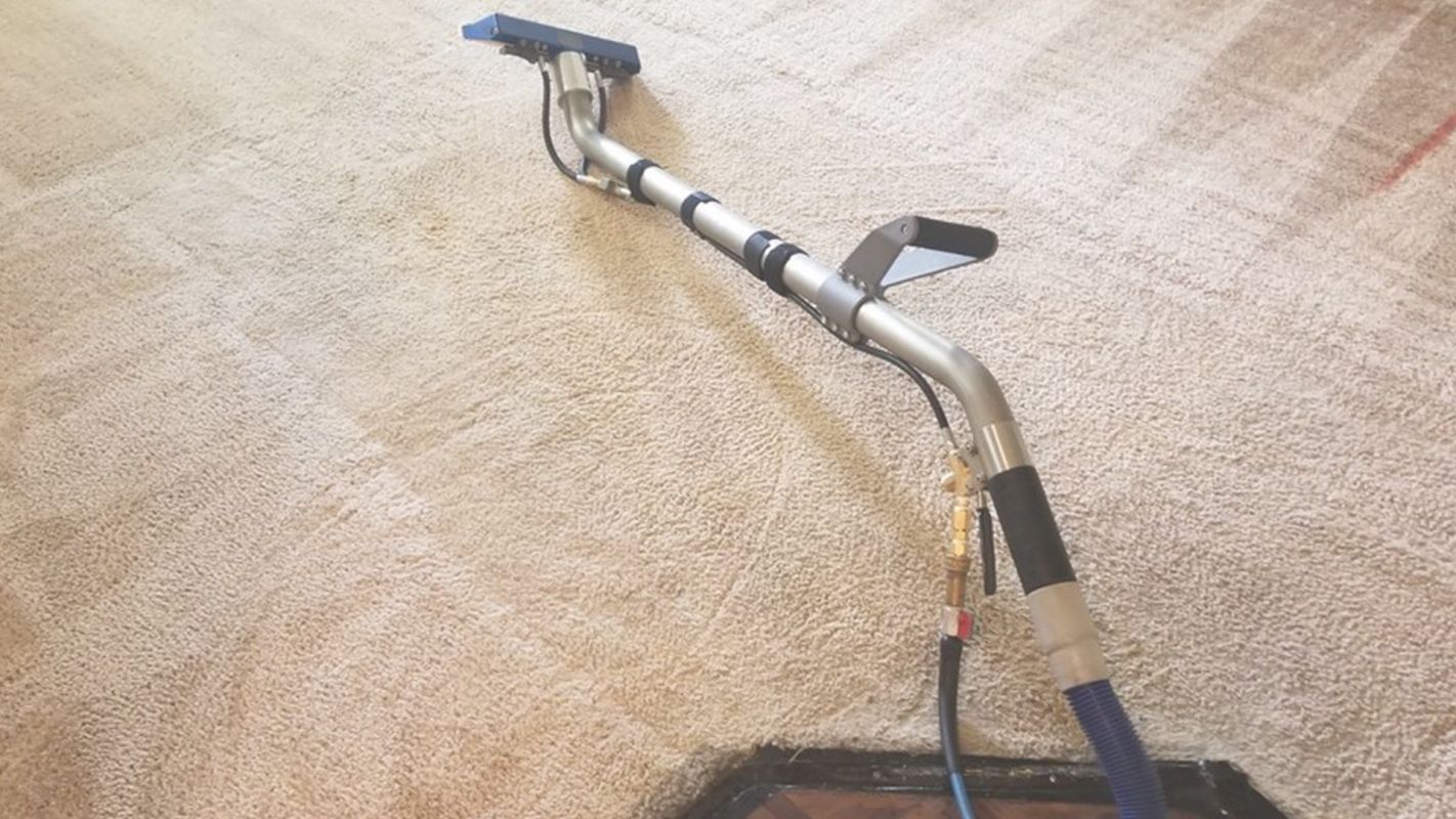 Cost-Effective Carpet Cleaning Services in Porter Ranch, CA