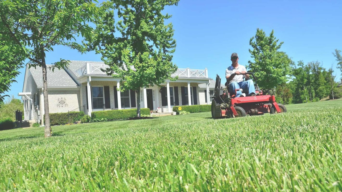 Keeping the Lawn in Top Condition via Lawn Maintenance North Phoenix, AZ
