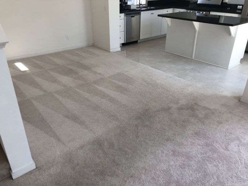 Why Pro Green Carpet Clean?
