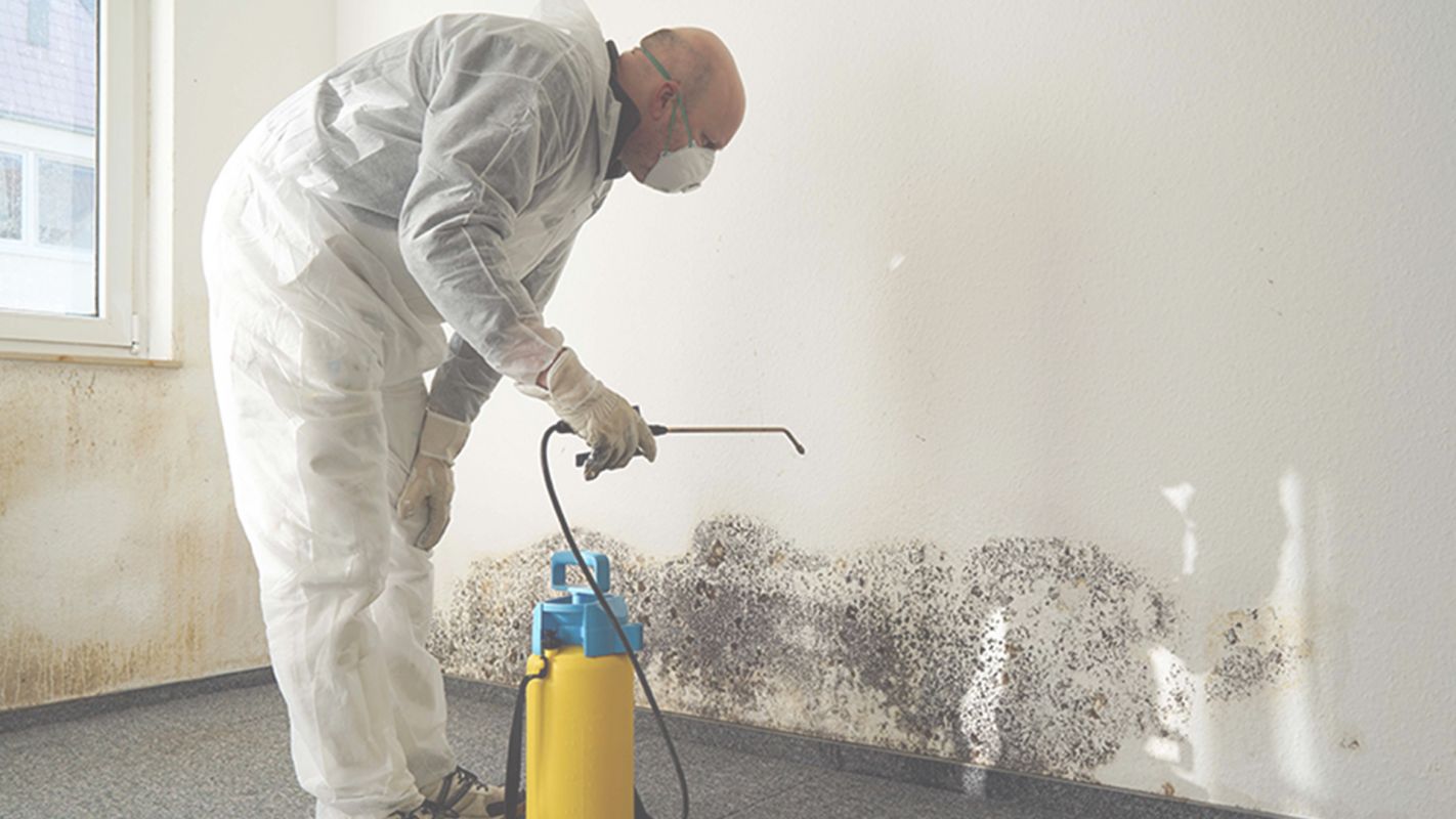 Best Mold Removal Services for Clean and Healthy Living Barrington, IL