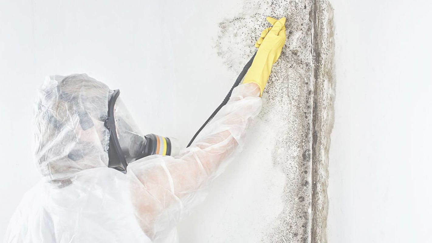 We Ensure Quick Mold Removal Barrington, IL