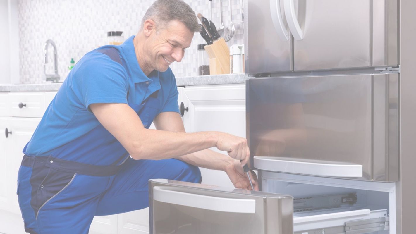 Freezer Repair at Affordable Cost New Port Richey, FL