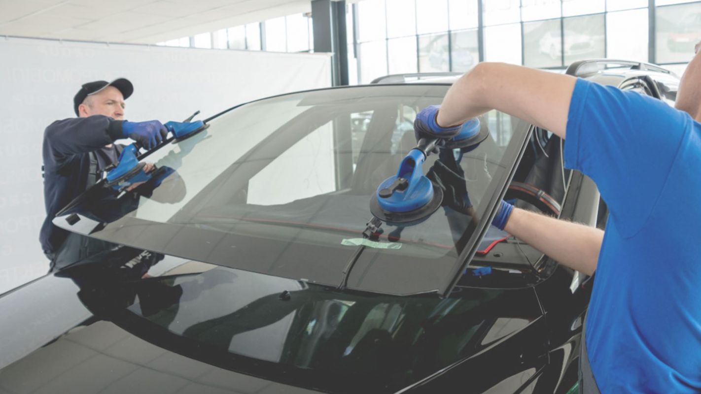 Where Should You Go for Windshield Replacement? Hollywood, FL