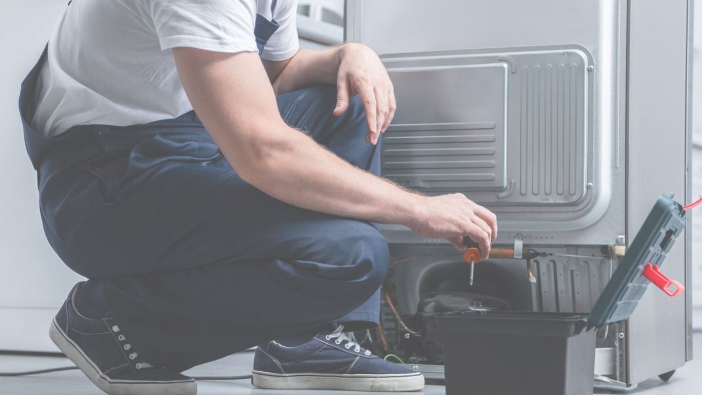 Count on This Reliable Refrigerator Repair Service New Port Richey, FL