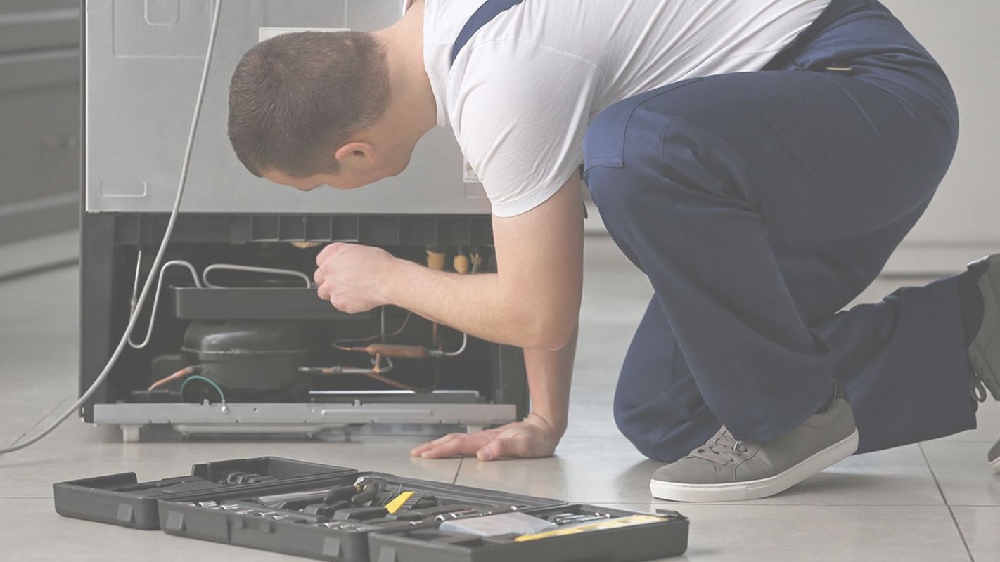 Refrigerator Repair Service of the Highest Quality Available in Your Area New Port Richey, FL
