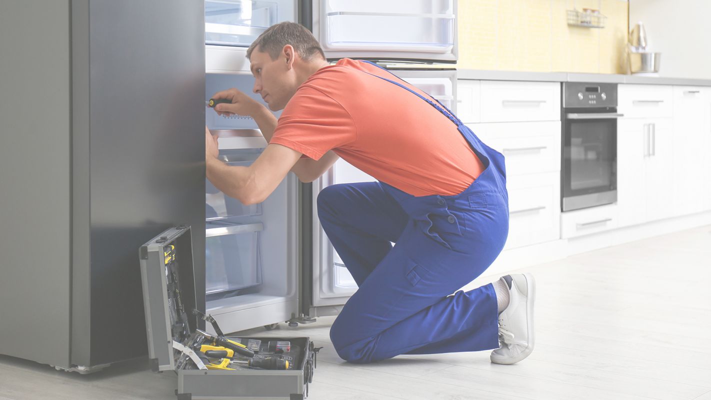Expert Refrigerator Repair Company New Port Richey, FL
