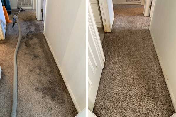 Carpet Cleaning & Restoration Houston, TX