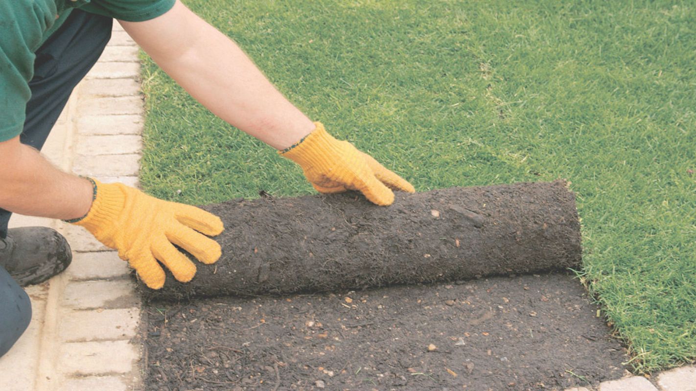 Sod Installation Services for Less Irrigation Port Washington, NY