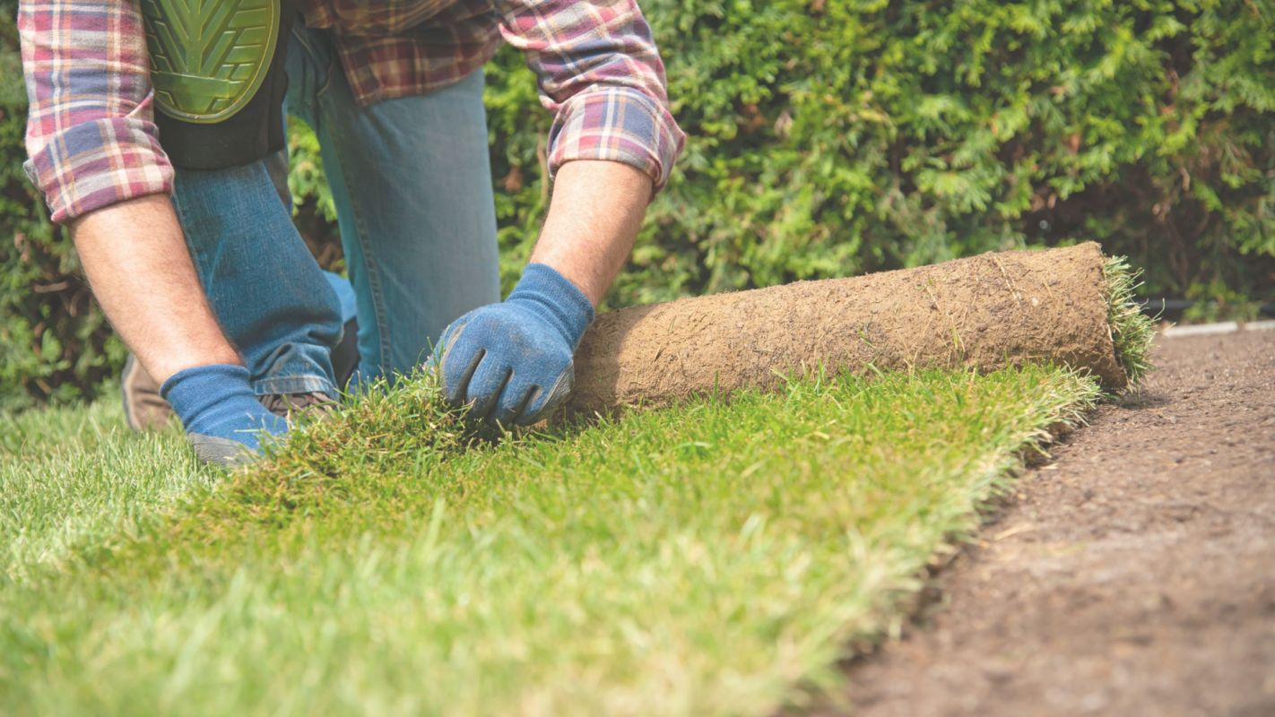 Hire Sod Installation Contractors in Port Washington, NY