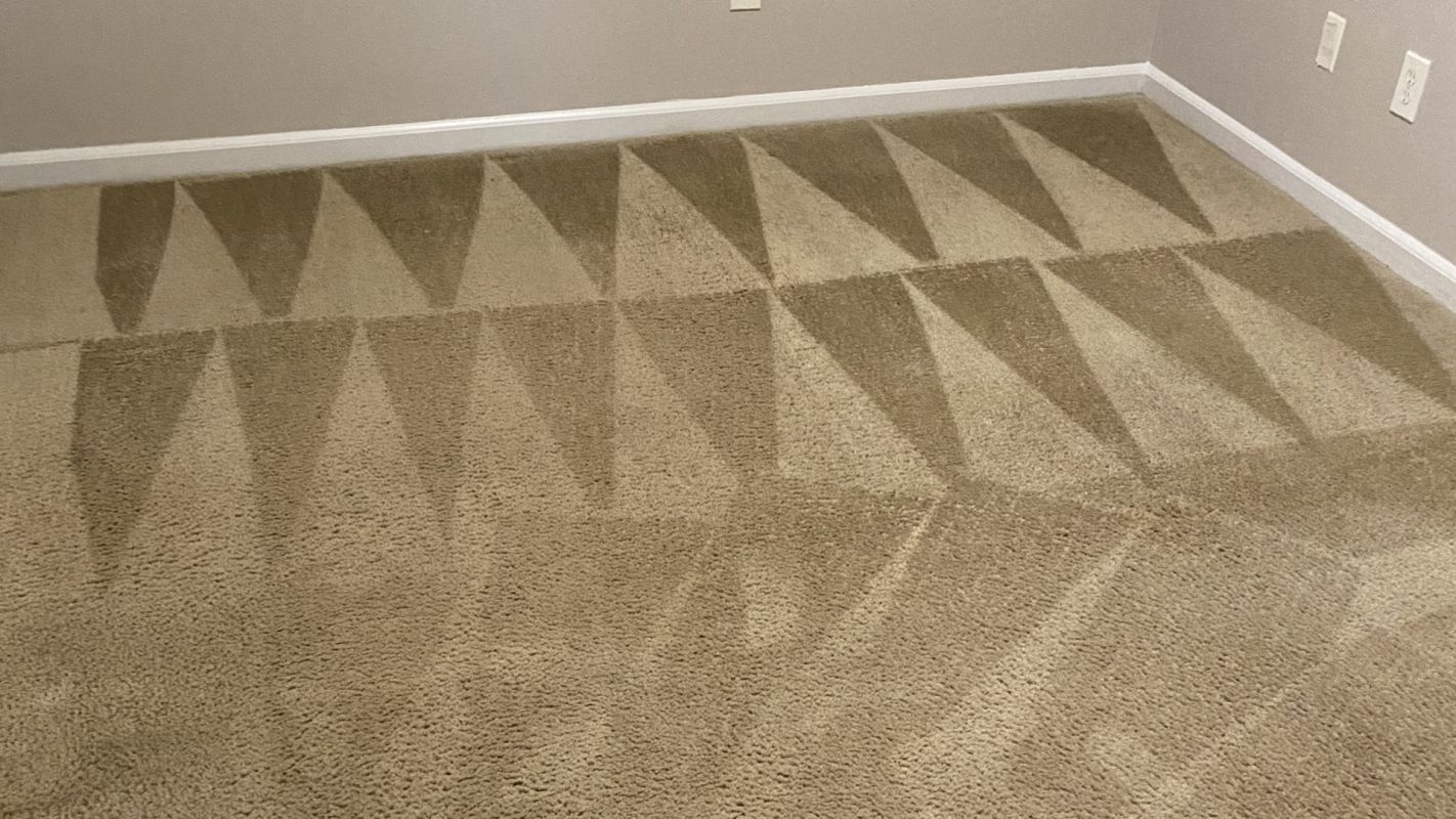 Carpet Cleaning Services - Clean Feel of a Home Raleigh, NC