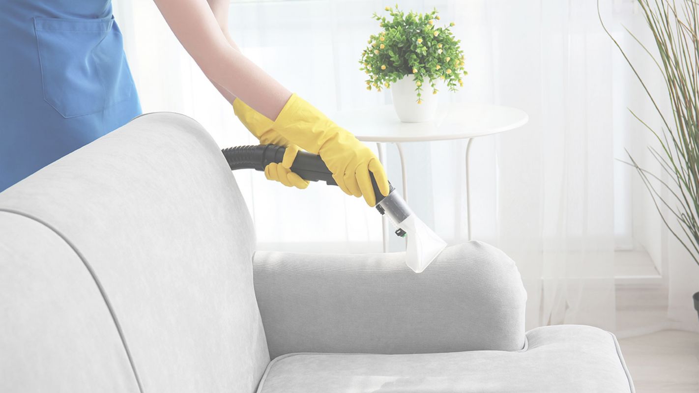 Upholstery Cleaning to Minimize Odors in Home Raleigh, NC