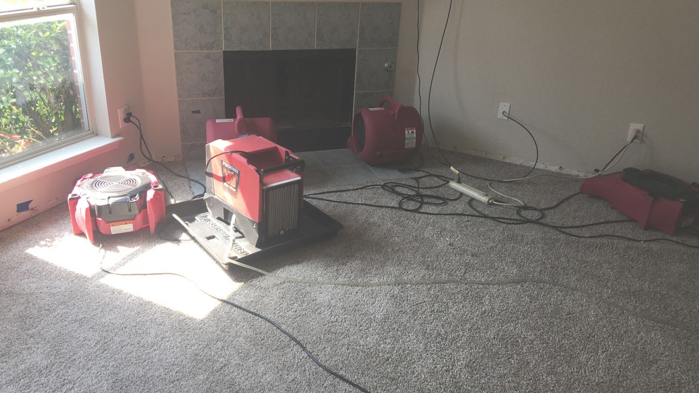 Cost-Effective Water Damage Restoration!Mold Removal Company in Frisco, TXRapid Water Removal to Reduce Water Damage Frisco, TX