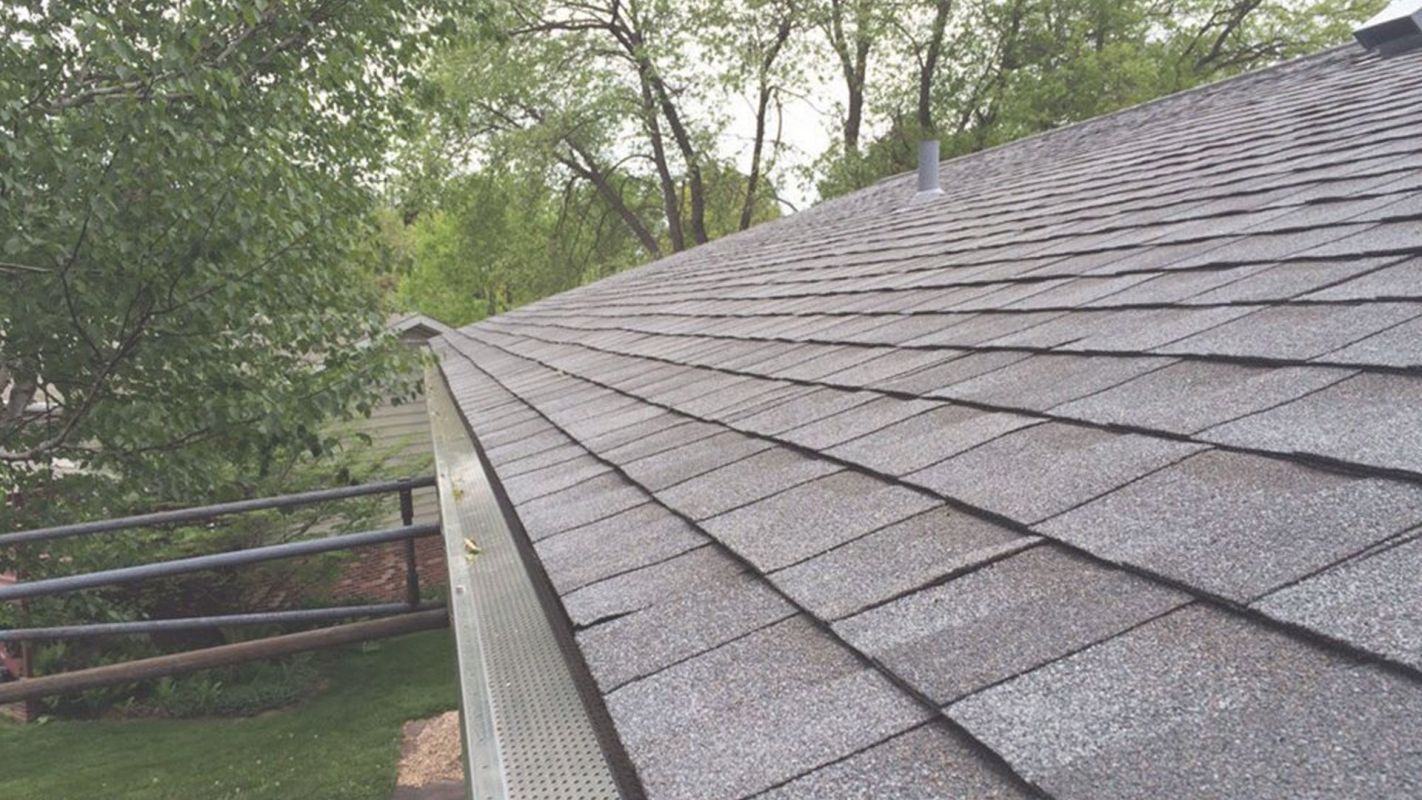 Superlative Services Offered by #1 Shingle Roofing Company! Tampa, FL!