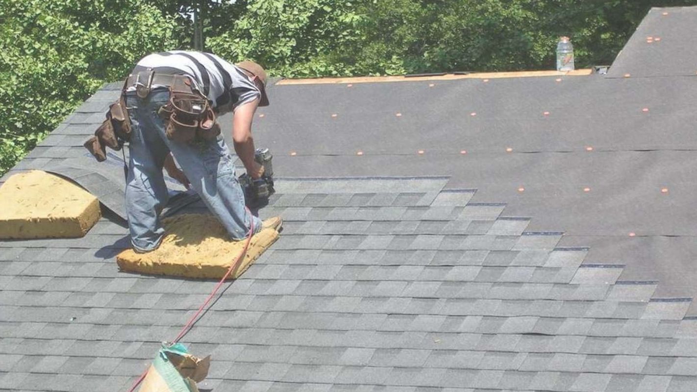 Shingle Roof Installation - A Rust-Free Alternative! Tampa, FL