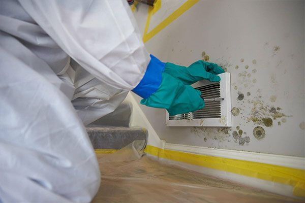 Prompt Service Provider Mold Removal Cleanup Company!