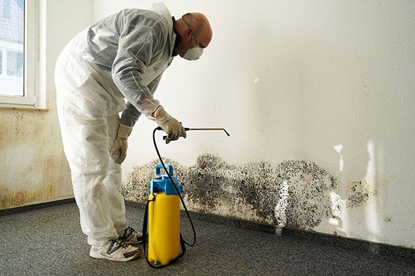 Mold Damage Removal- Step Towards Healthy Living! Baltimore MD