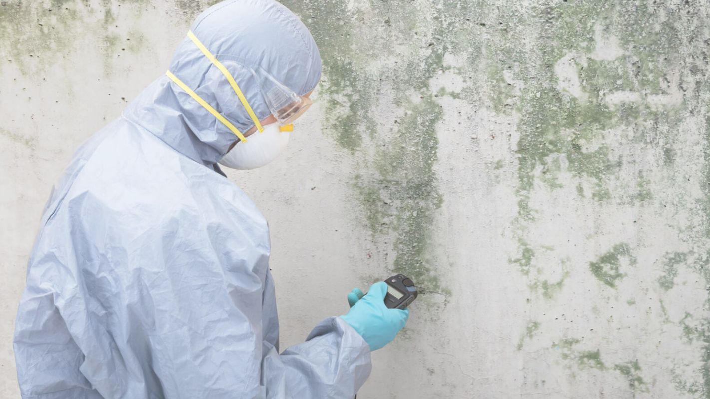 Mold Inspection- You May Count On Fairfax, VA