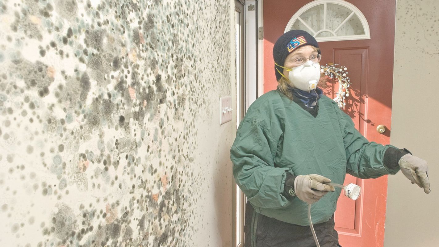 Mold Removal –Emergency Specialist Fredericksburg, VA