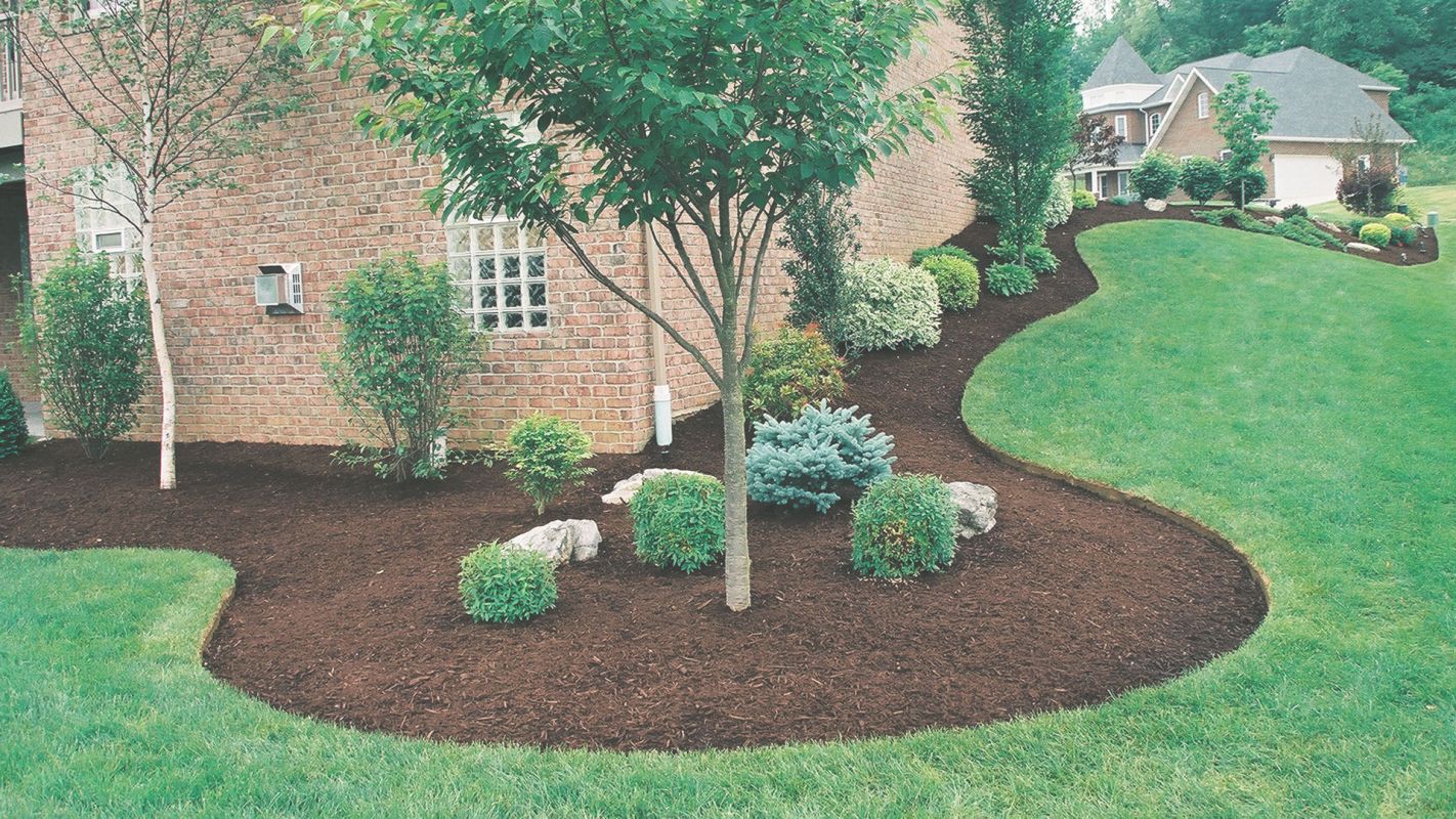 Garden Maintenance with Garden Edging Arlington, VA