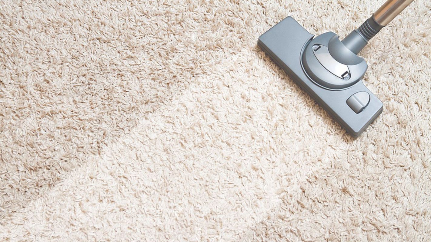 Quick & Affordable Carpet Cleaning Services! Missouri City, TX