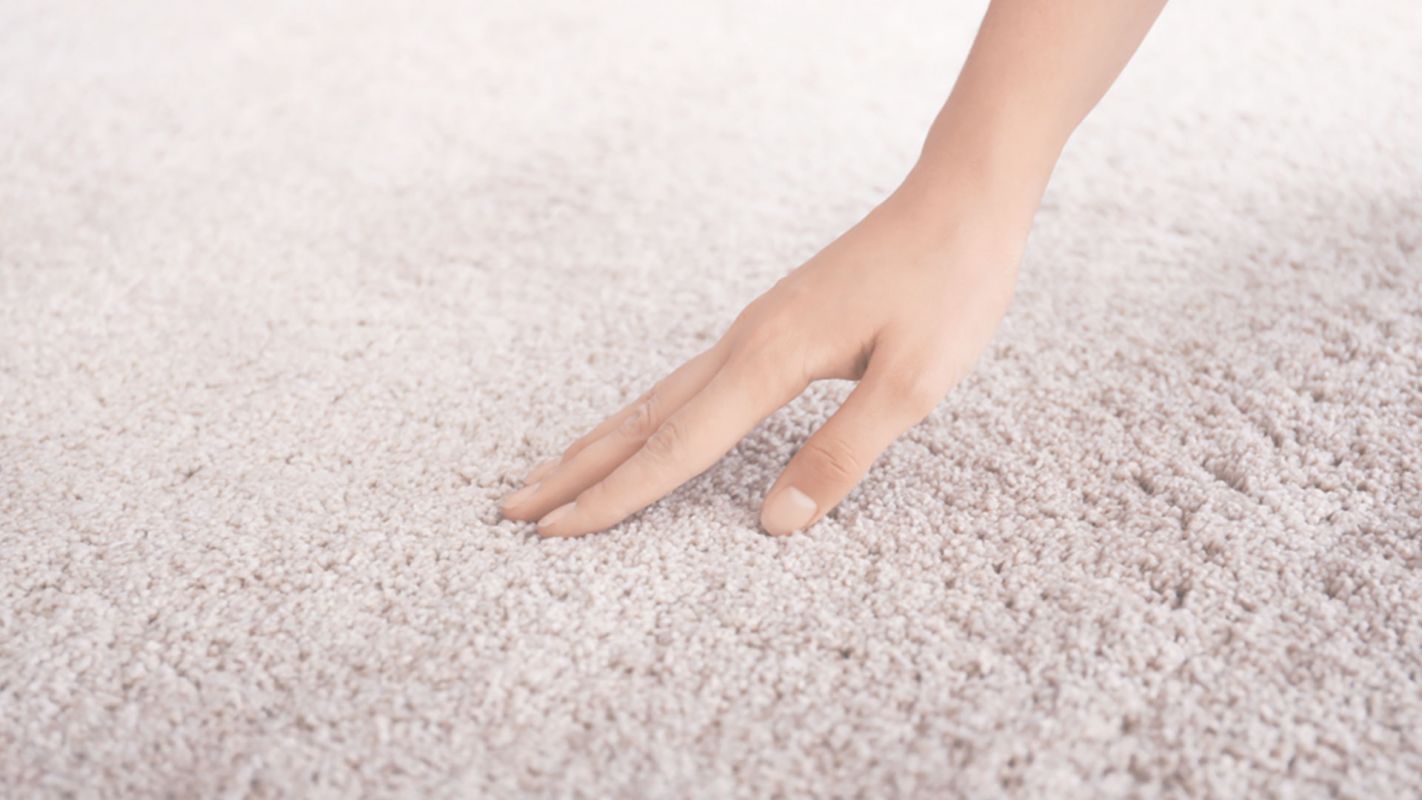 Carpet Cleaning Services by University Professionals Katy, TX