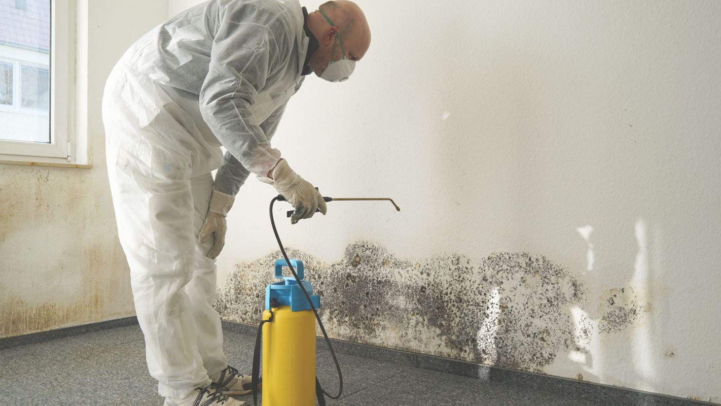 Mold Damage Restoration - Quicker & Effective! Bloomington, MN