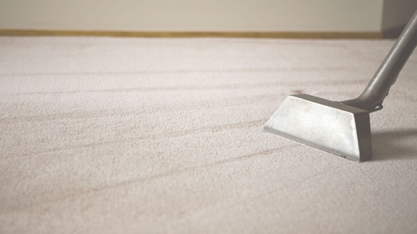 Top Carpet Cleaning Company in Jersey City, NJ