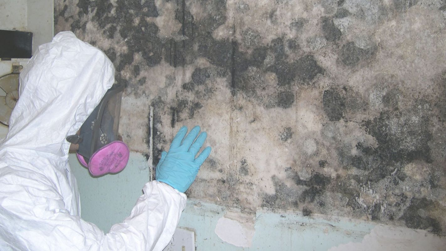 Comprehensive Mold Inspection Services Mooresville, NC