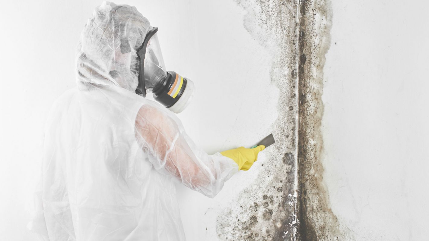 Hire Experienced & Certified Mold Inspector Davidson, NC