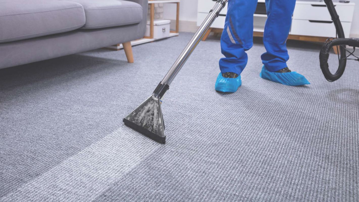 The Best Carpet Cleaning Company in San Tan Valley, AZ