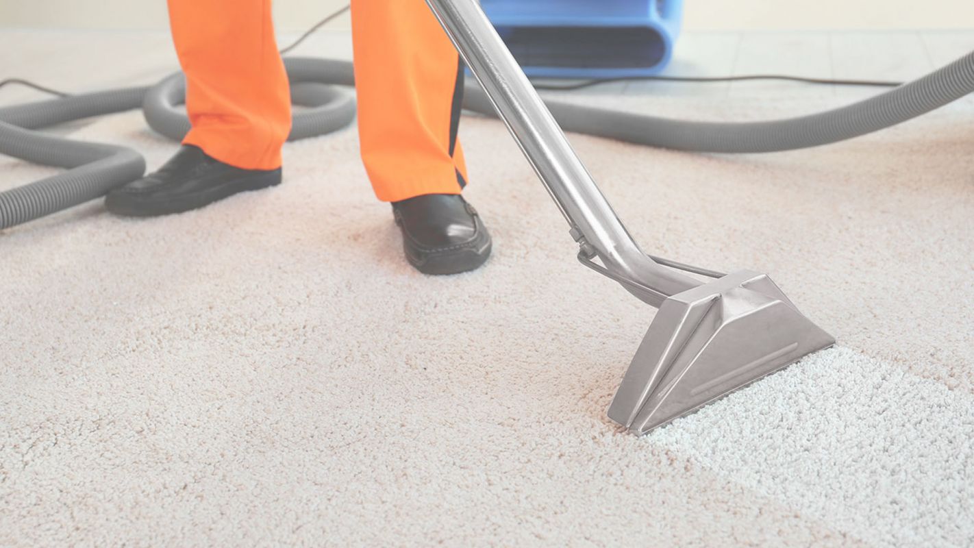 Affordable Quality Carpet Cleaning Queen Creek, AZ