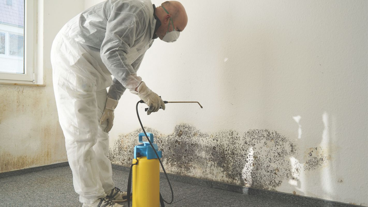 Affordable Mold Remediation Services Silver Spring, MD