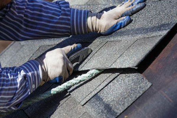 Professional Roofing Services