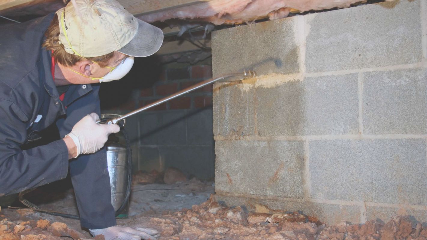 We Have Expertise in Crawl Space Cleaning High Point, NC