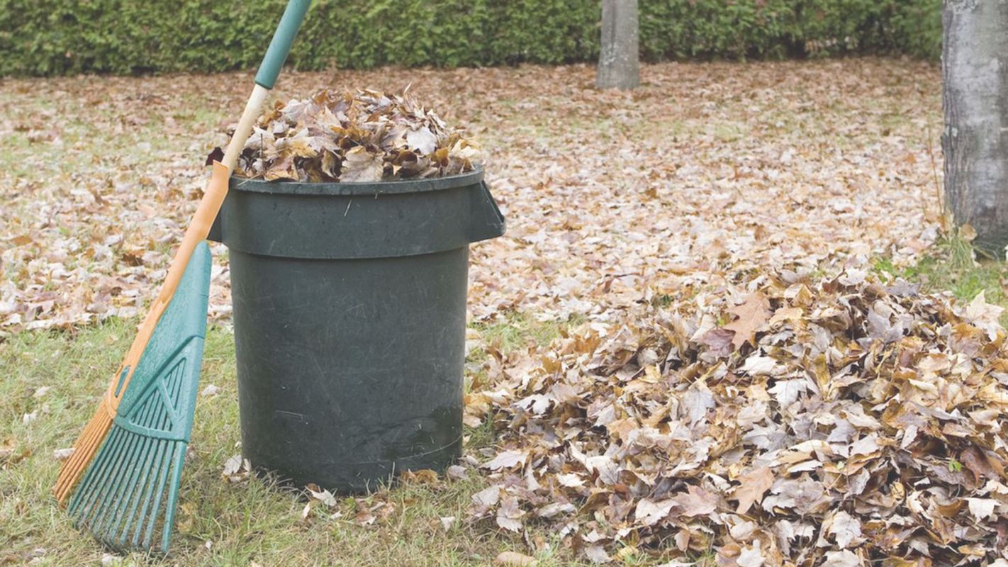 We offer the Minimum Yard Debris Removal Cost Centennial, CO