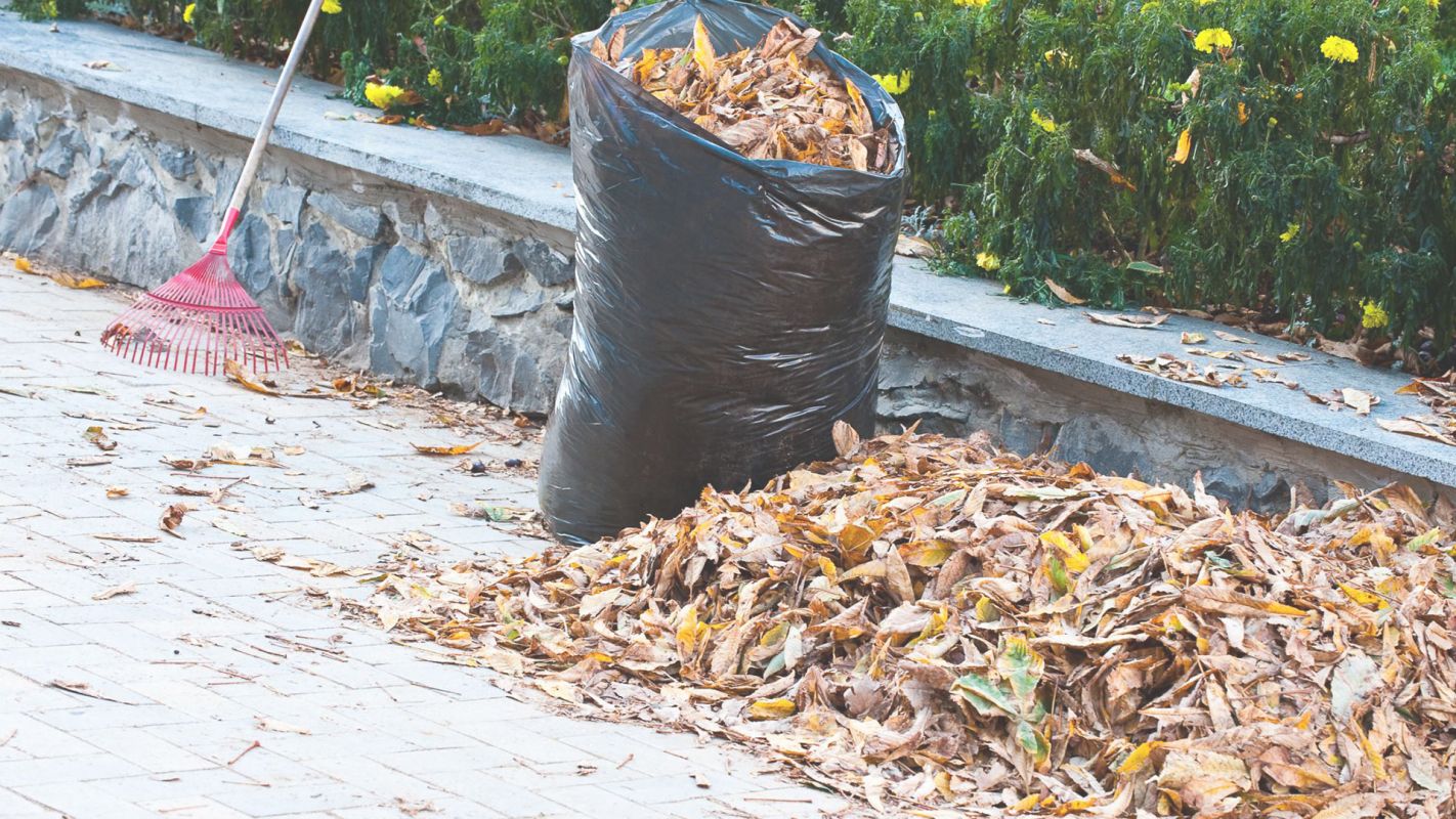 One-Stop Solution for Yard Debris Removal in Aurora, CO