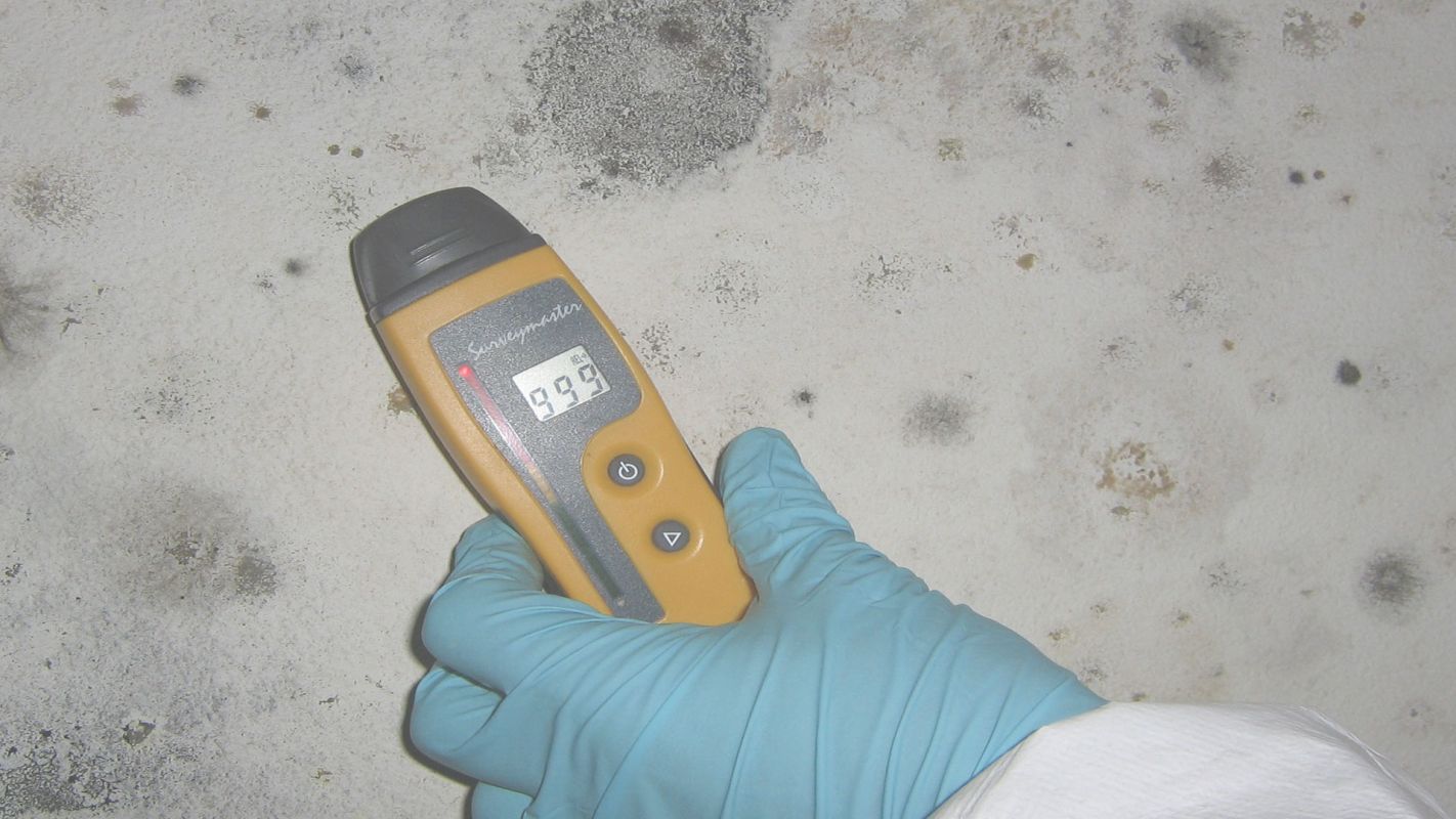 Mold Inspection Service - Inspecting Your Valuable Possession Corona, CA