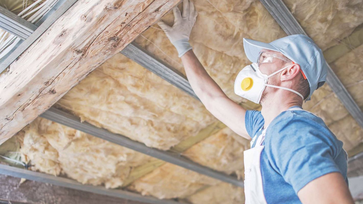 Call the Best Attic Inspector to Ensure Your Safety Carol Stream, IL