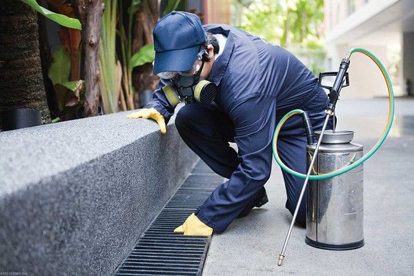 Residential & Commercial Pest Removal Services