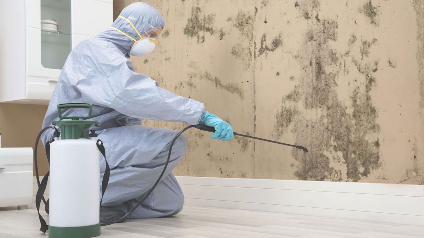 The Cleaning Specialist - Mold Damage Cleanup Company Bapchule, AZ