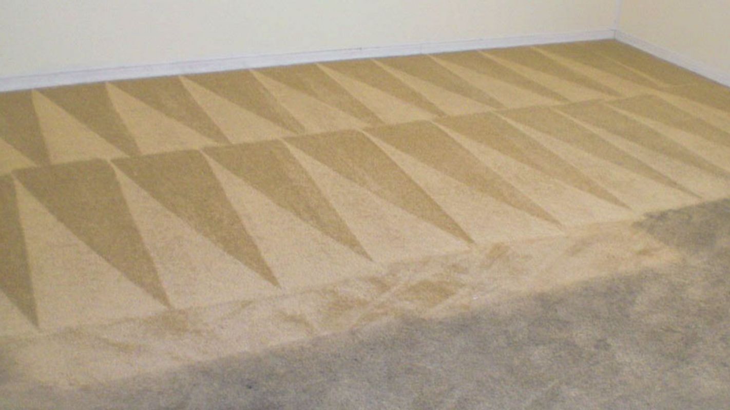 Specialists in Carpet Cleaning Sandy, UT